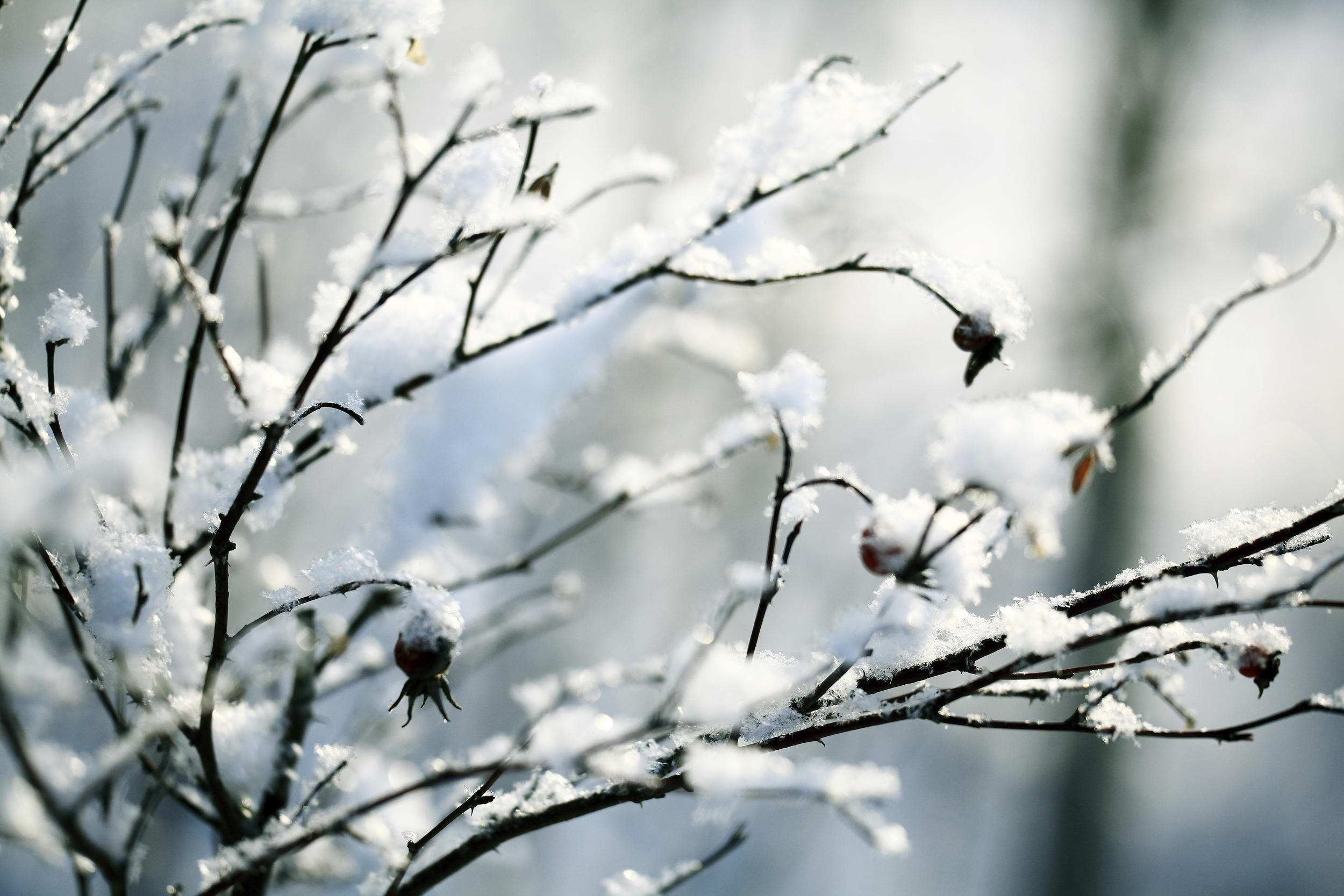 Meditation Can Strengthen Your Intentions