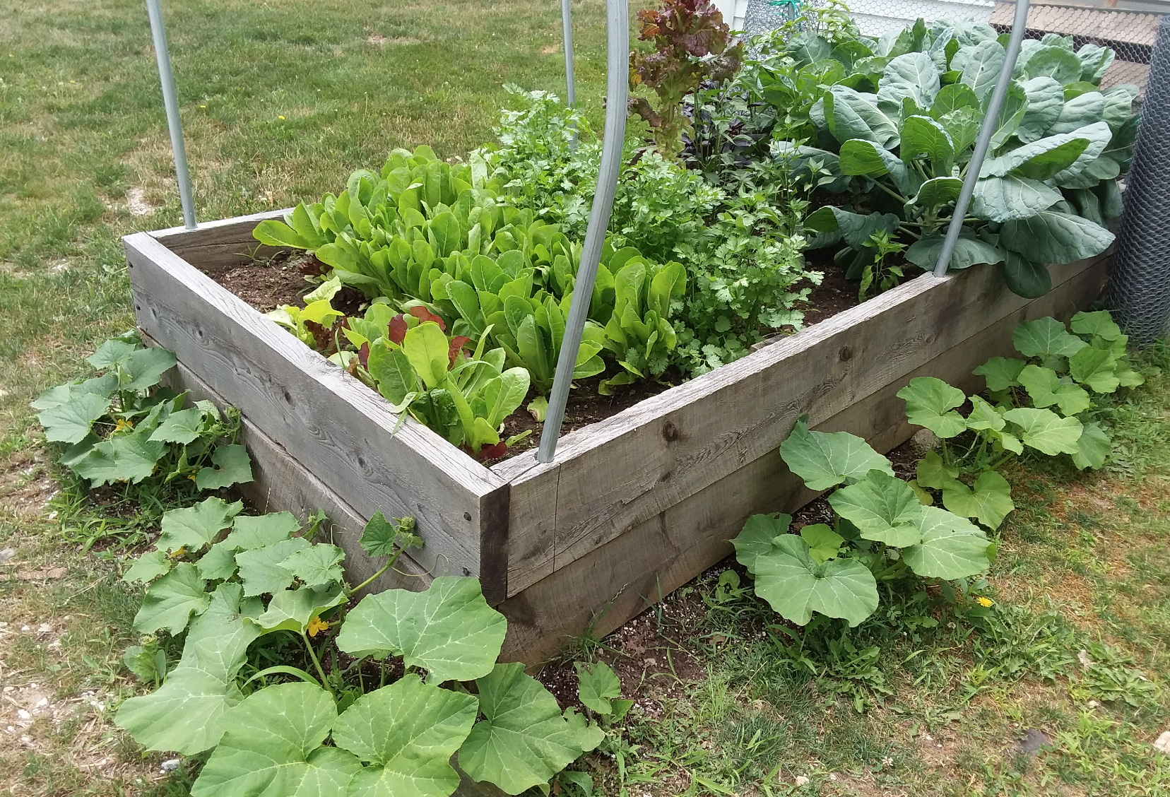 Local Sustainable Food: No longer an alternative choice, but a necessity